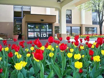 Hampton Chicago-o'hare International Airport Hotel Schiller Park