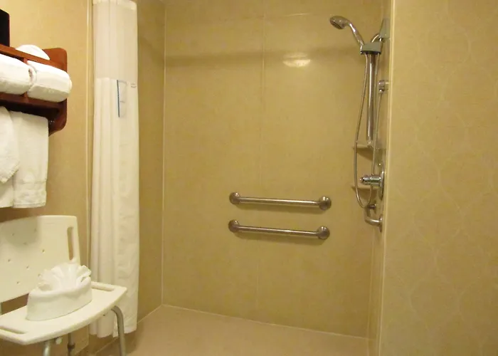 Hampton Chicago-o'hare International Airport 3*