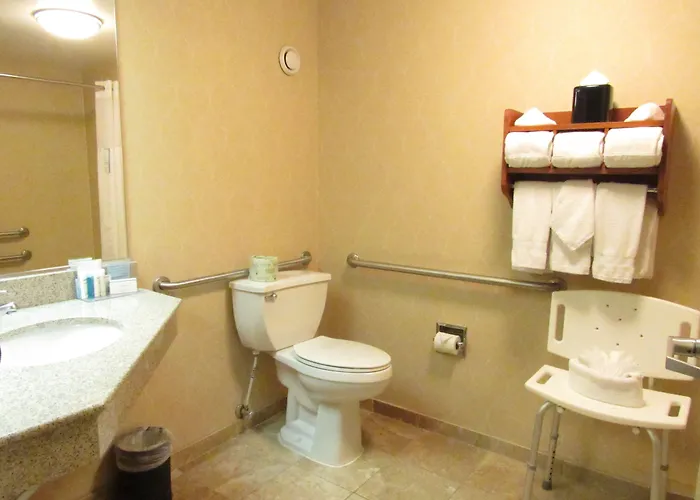 Hotel Hampton Chicago-o'hare International Airport Schiller Park