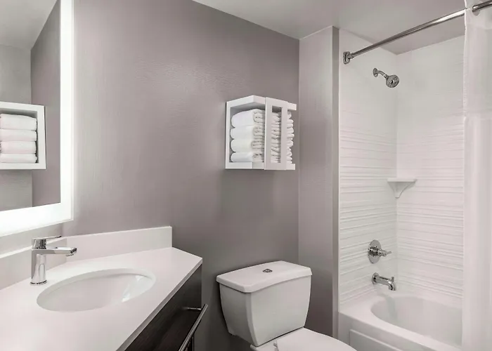 Hotel Hampton Chicago-o'hare International Airport 3*