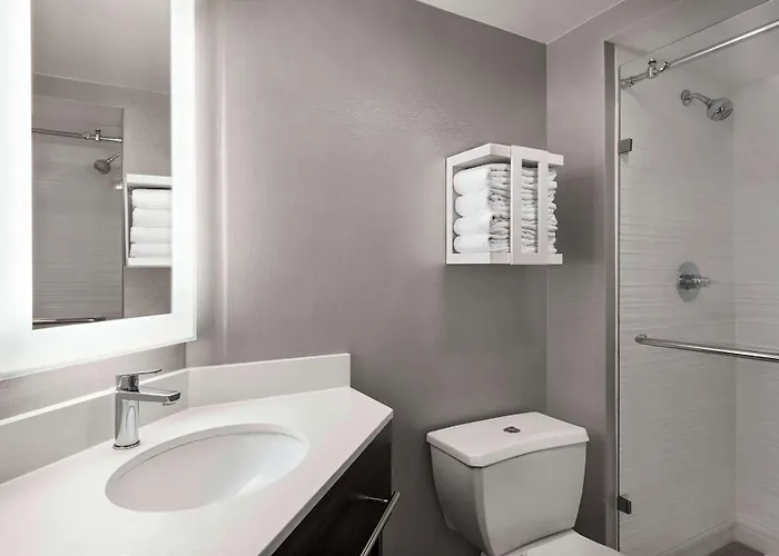 Hotel Hampton Chicago-o'hare International Airport 3*