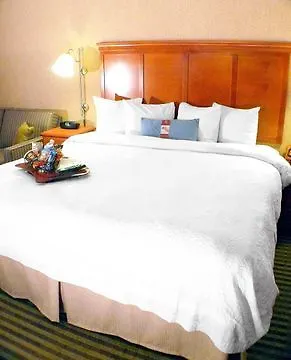 Hampton Chicago-o'hare International Airport Hotel