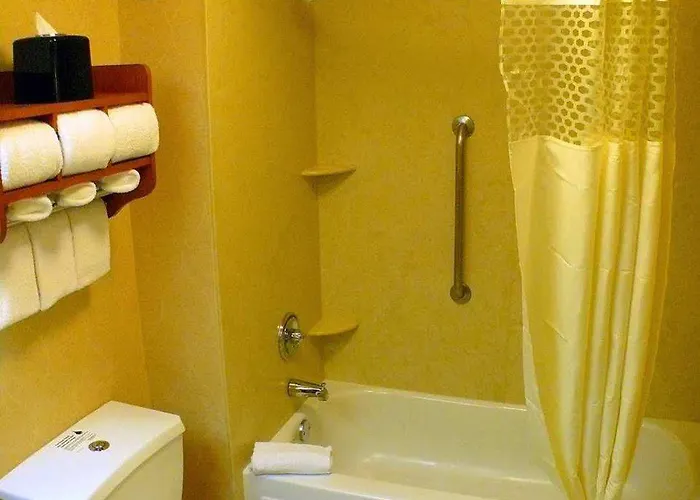 Hotel Hampton Chicago-o'hare International Airport 3*