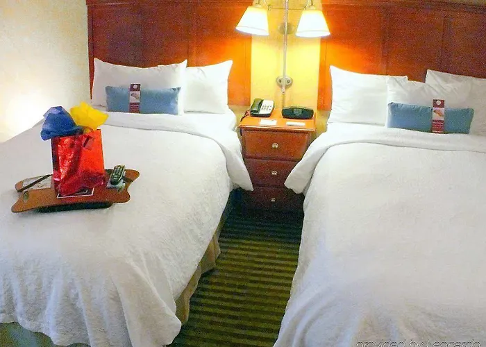 Hampton Chicago-o'hare International Airport 3* Schiller Park