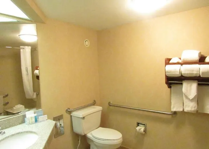 Hampton Chicago-o'hare International Airport Hotel Schiller Park